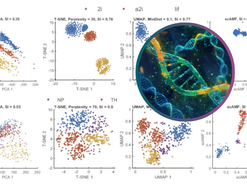 National University of Singapore Unveil Novel Single-Cell RNA Analysis